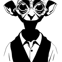 DobbyVPN icon