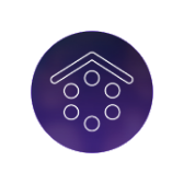 Venusian icon