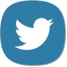Twitter icon
