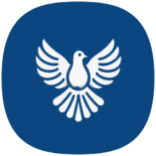ByeByeDPI icon