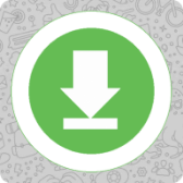 WhasApp Status icon