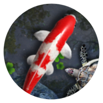 Water Garden icon
