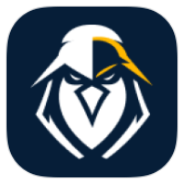 eEagle VPN icon