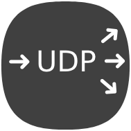 UDP Bus icon