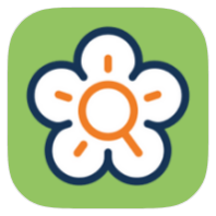 Flora Incognita icon