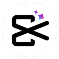 Vidma icon