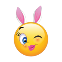 SuperTheAdultAPK icon