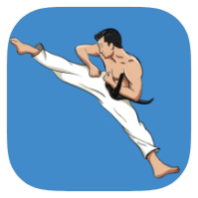 Mastering Taekwondo icon