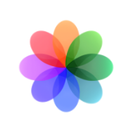 Gallery icon