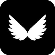 Wing VPN icon