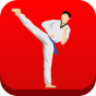 Taekwondo Workout icon