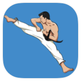 Mastering Taekwondo icon