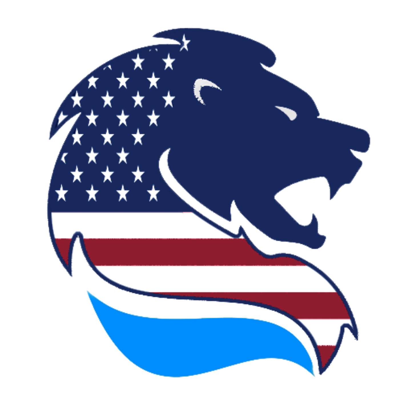 USA VPN icon