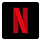 Netflix icon