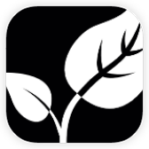 Apple Keyboard icon