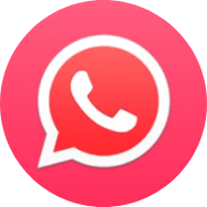 WhatsApp icon