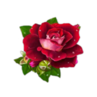 Открытки icon