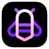 BeeLine Purple icon