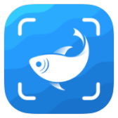 PictureThis icon