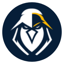 eEagle VPN icon