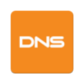 DNS icon