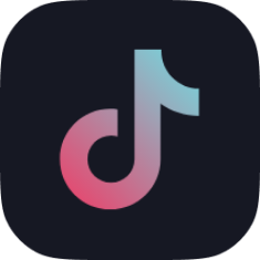 TikTok icon