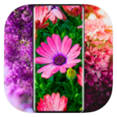 Flower Wallpapers icon