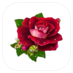 OtkritkiOK icon