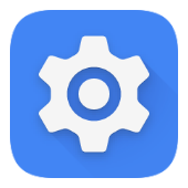 Settings Services icon