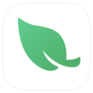 Leaf VPN icon
