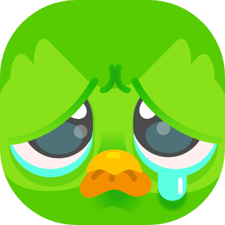 Duolingo icon