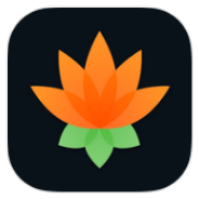 Lotus Chess icon