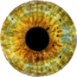 Ishihara Color Blindness Test icon