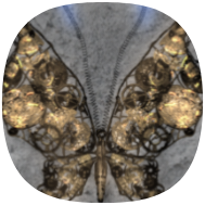 As the Lights Fade Away icon