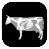 3D Bovine Anatomy icon