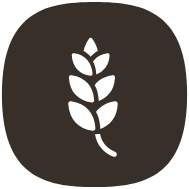 Photos icon