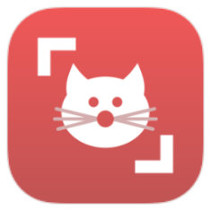 Cat Scanner icon