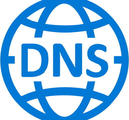 DNS icon