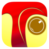 Tcamera icon