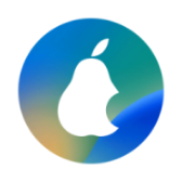 iPear Round icon