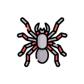 Dexterceptor icon