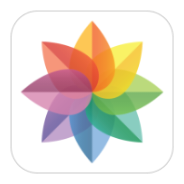 Gallery icon