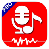 Voice Recorder Pro icon