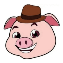 猪猪软件库 icon