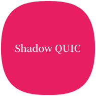 Shadowquic Plugin icon