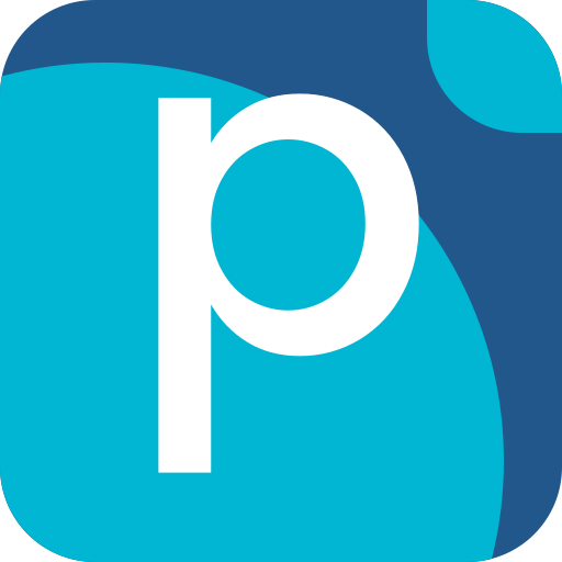 PDM icon