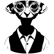 DobbyVPN icon