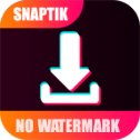 SnapTik icon