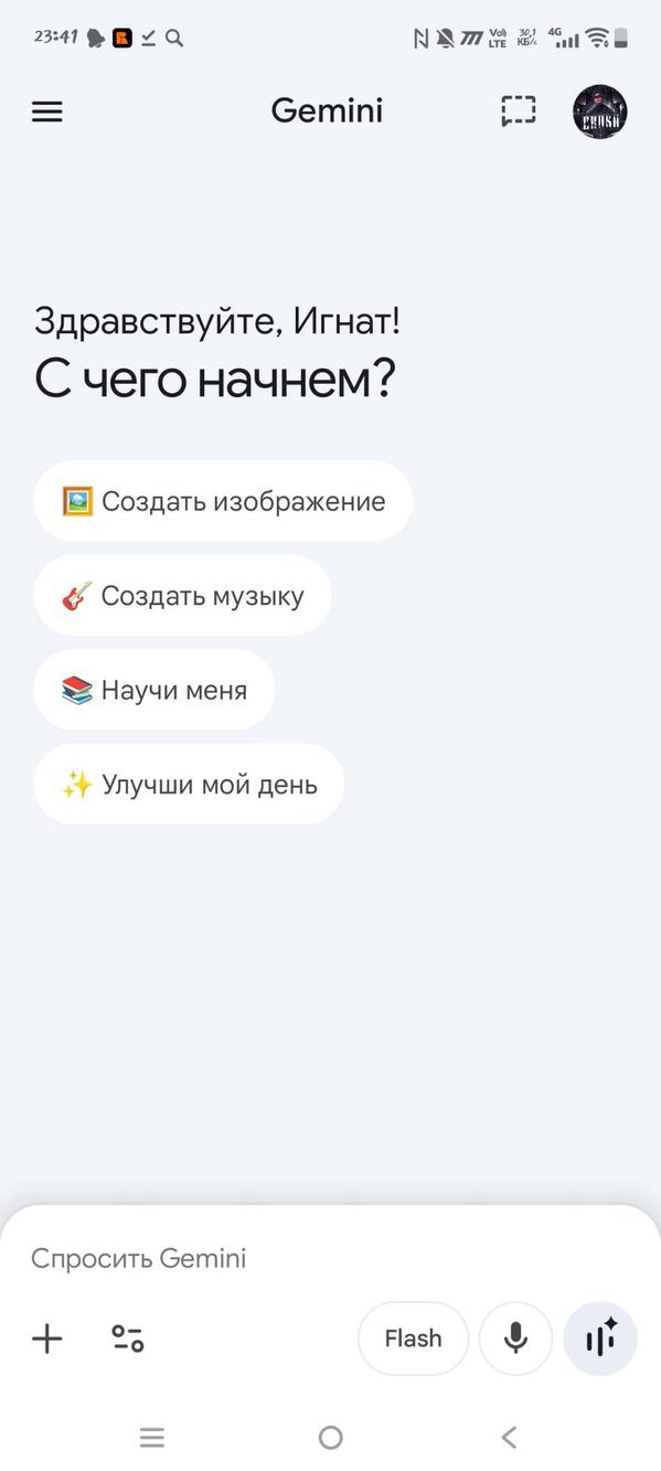 Gemini screenshot 1