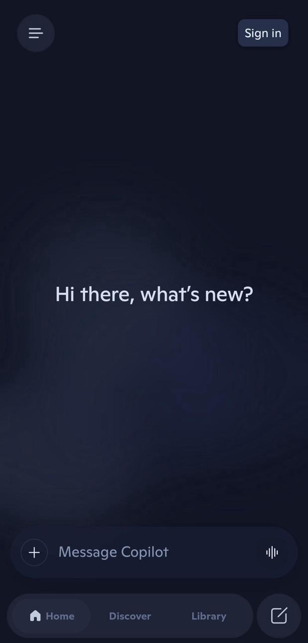 Copilot screenshot 1